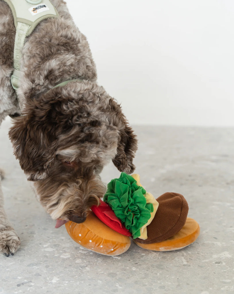 Snuffle Toys: The Ultimate Brain Teasers for Dogs