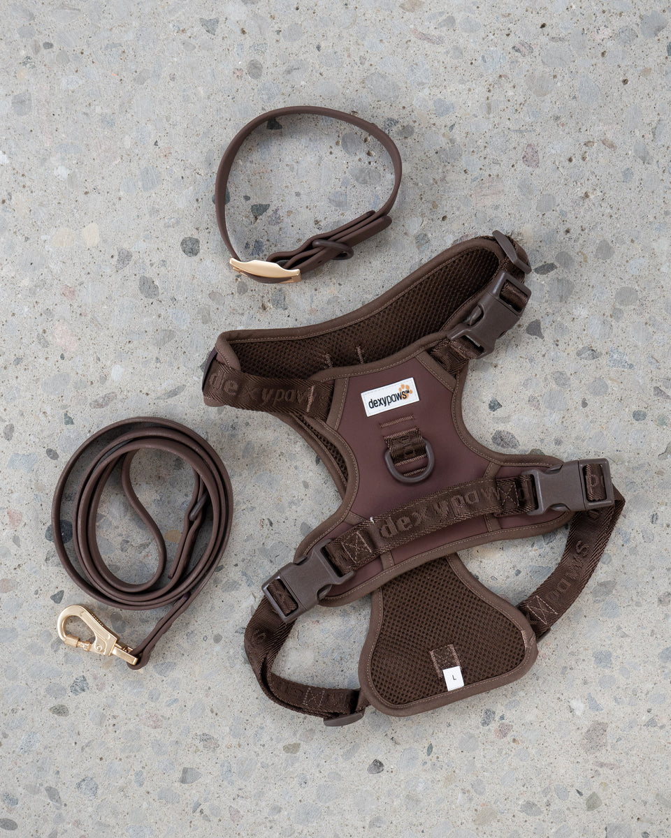 Leash, Collar + Harness Set in Espresso dexypaws