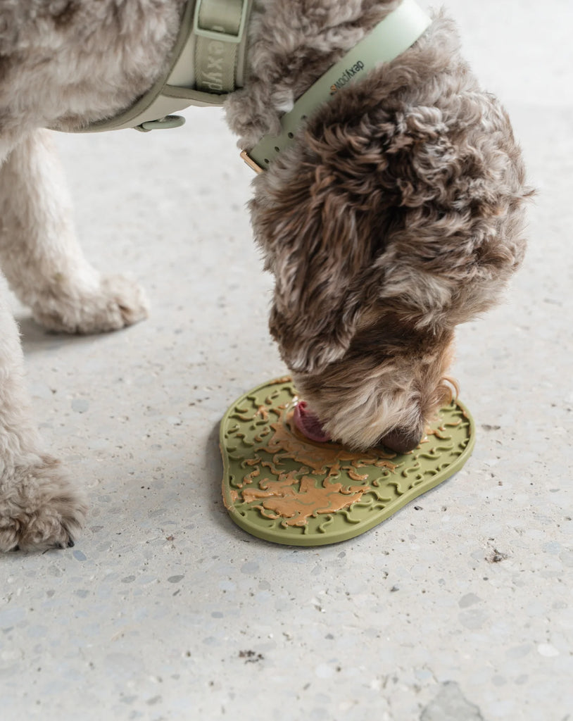 5 Reasons Why Your Dog Needs a Lick Mat