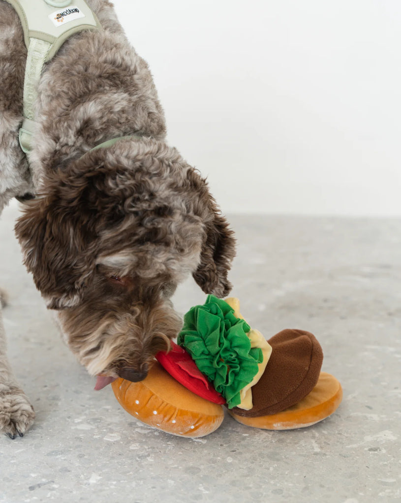 Brain teaser top toys for dogs