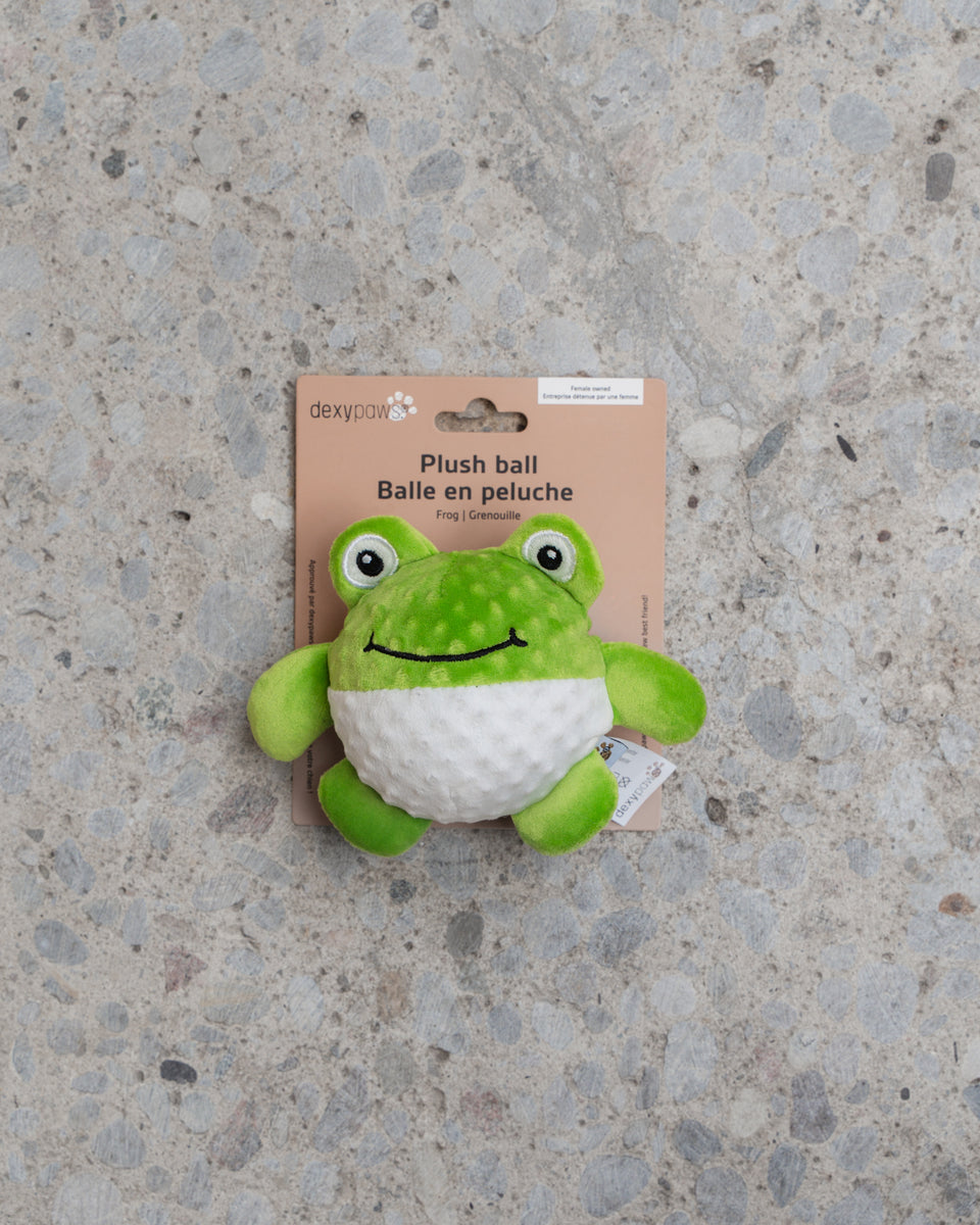 Frog Interactive Toy – dexypaws