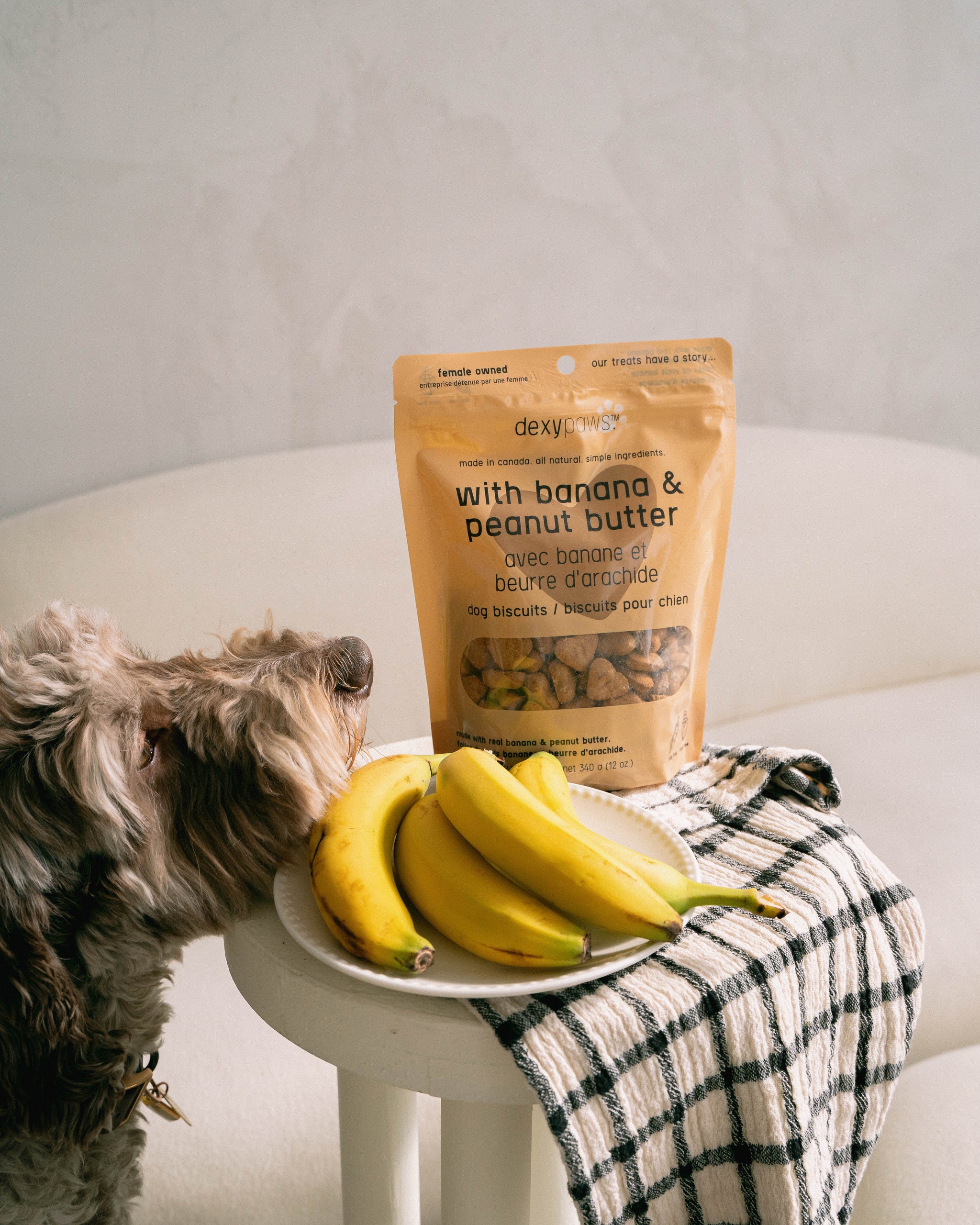 Banana Oat Peanut Butter Dog Treats – dexypaws