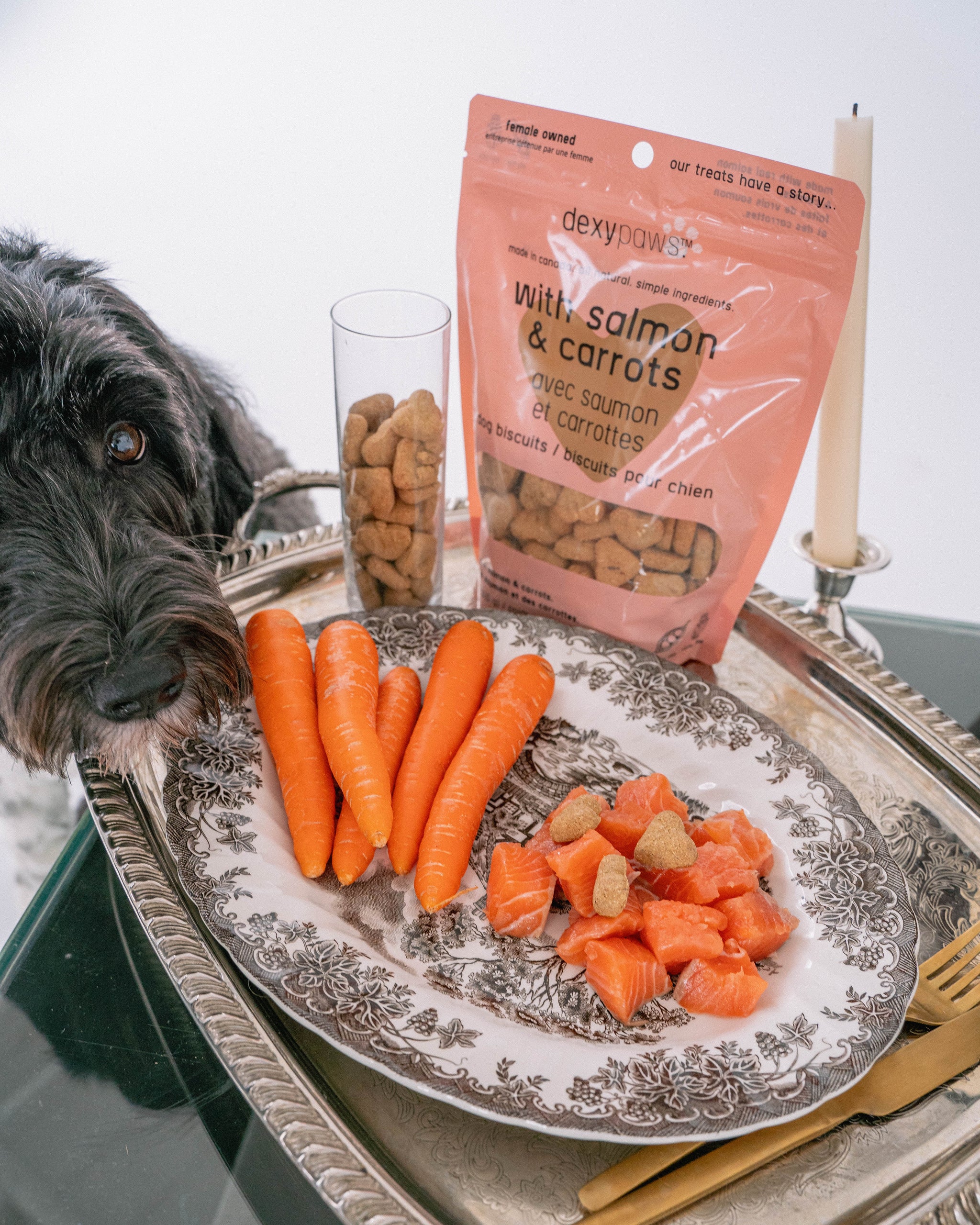 Salmon Dog Treats – dexypaws