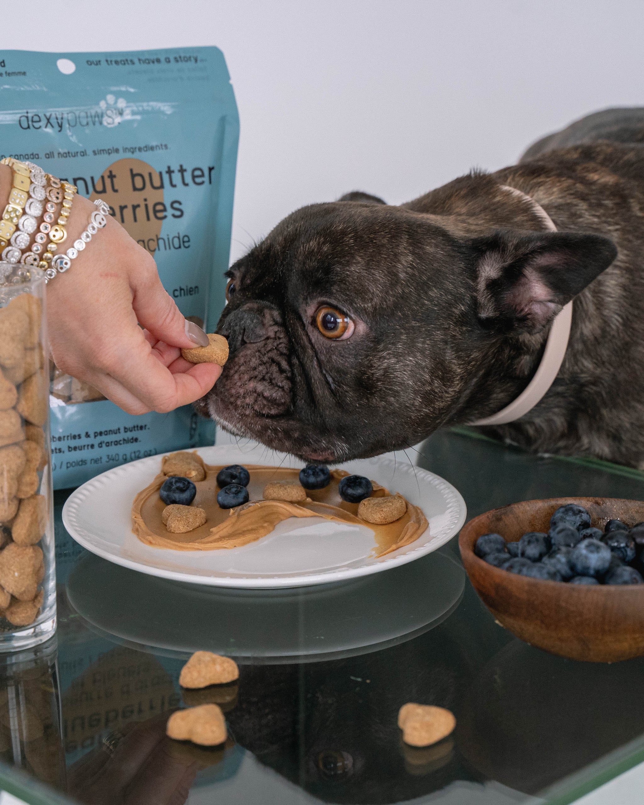 Peanut butter blueberry dog treats best sale