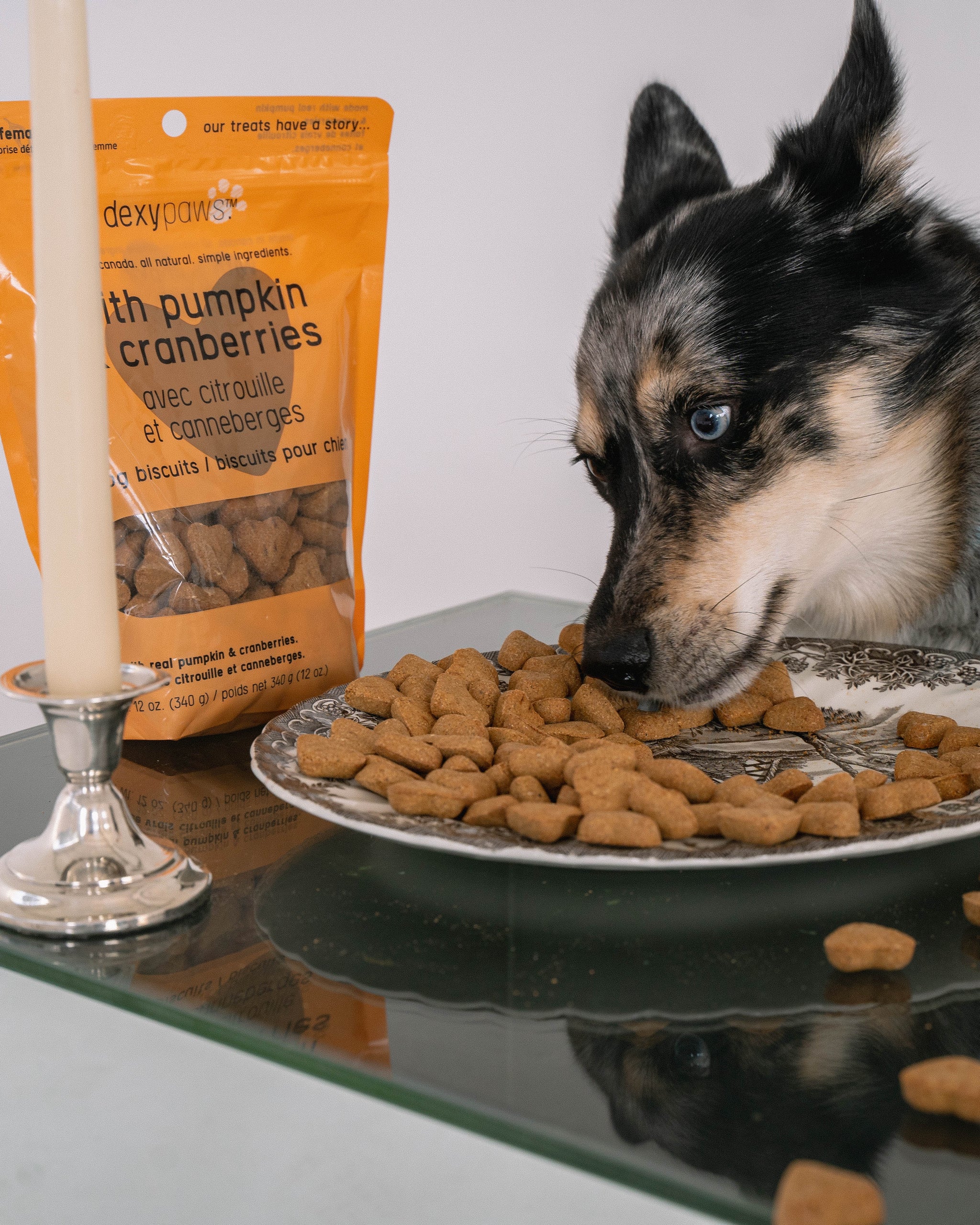 Best Organic Dog Treats Canada: Top Healthy Picks for Your Pup