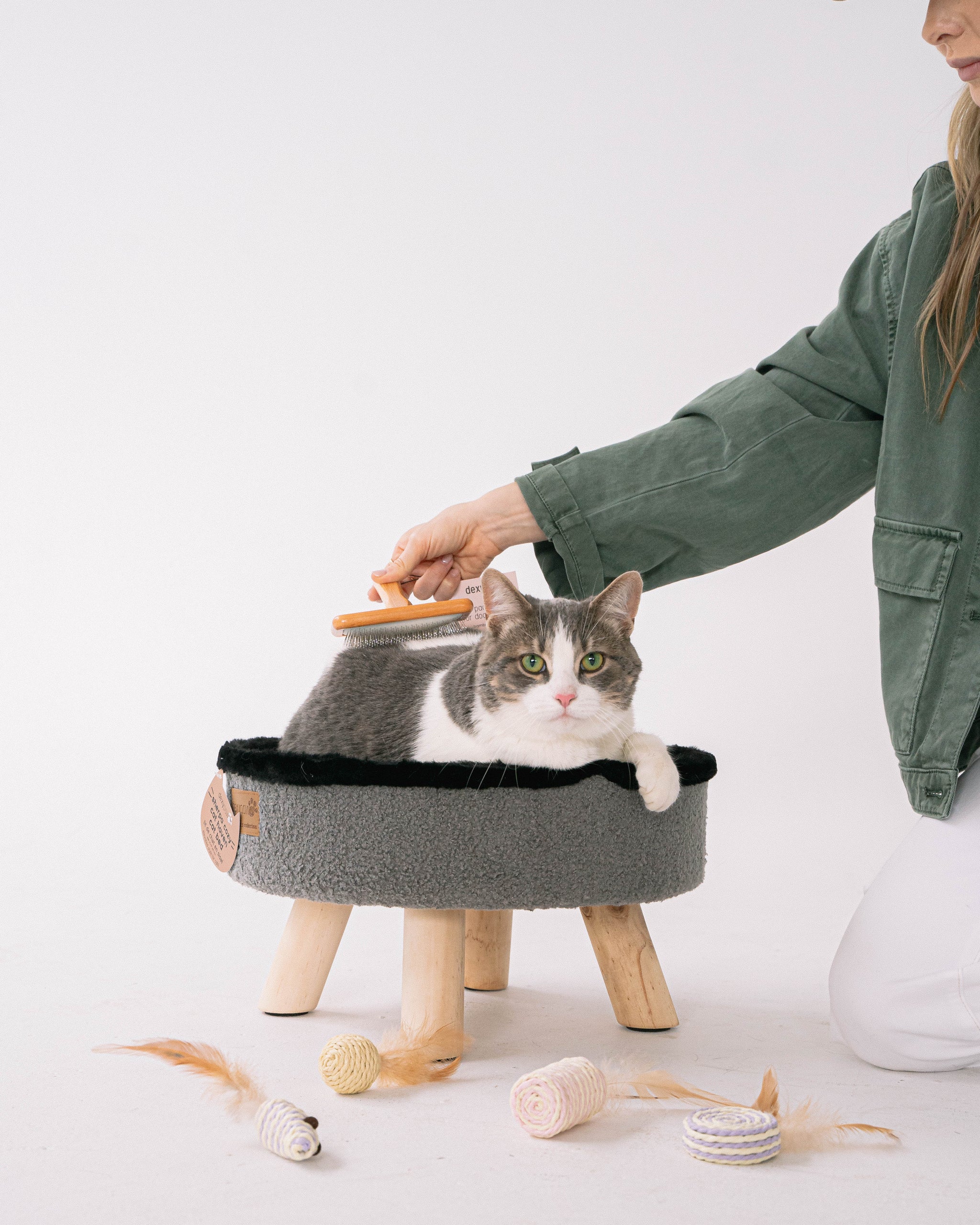 Wide Paddle Brush for dogs & cats – dexypaws