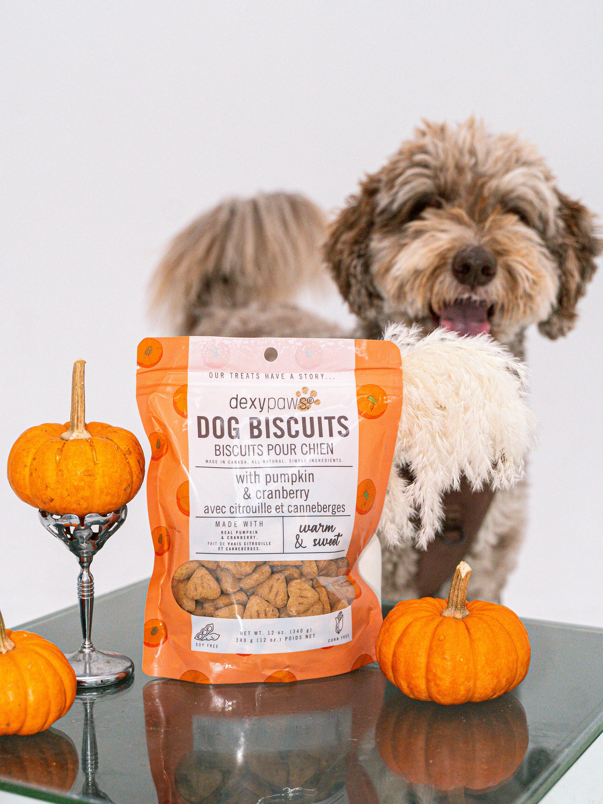 Pumpkin Peanut Butter Dog Homemade Dog Treats Long Lasting
