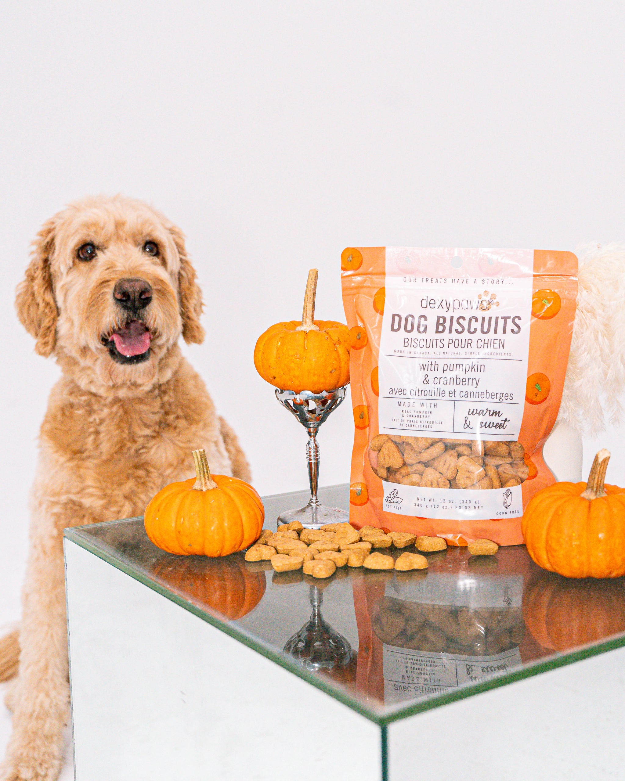 For Dogs Puppy Diarrhea Pumpkin Pumpkin Puree For Puppy Diarrhea Pumpkin  Powder For Dogs