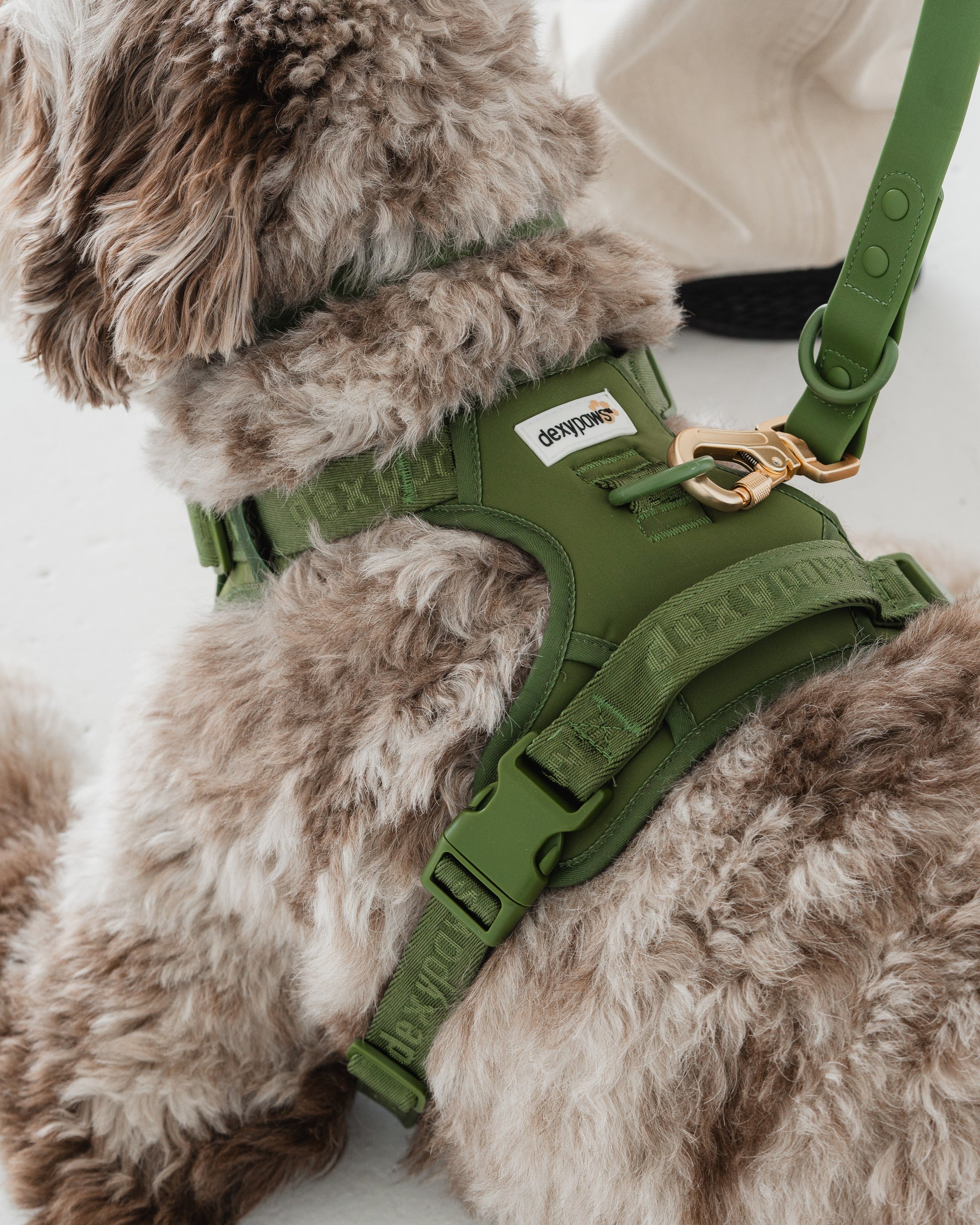 Camo Green Harness – dexypaws - Main Image