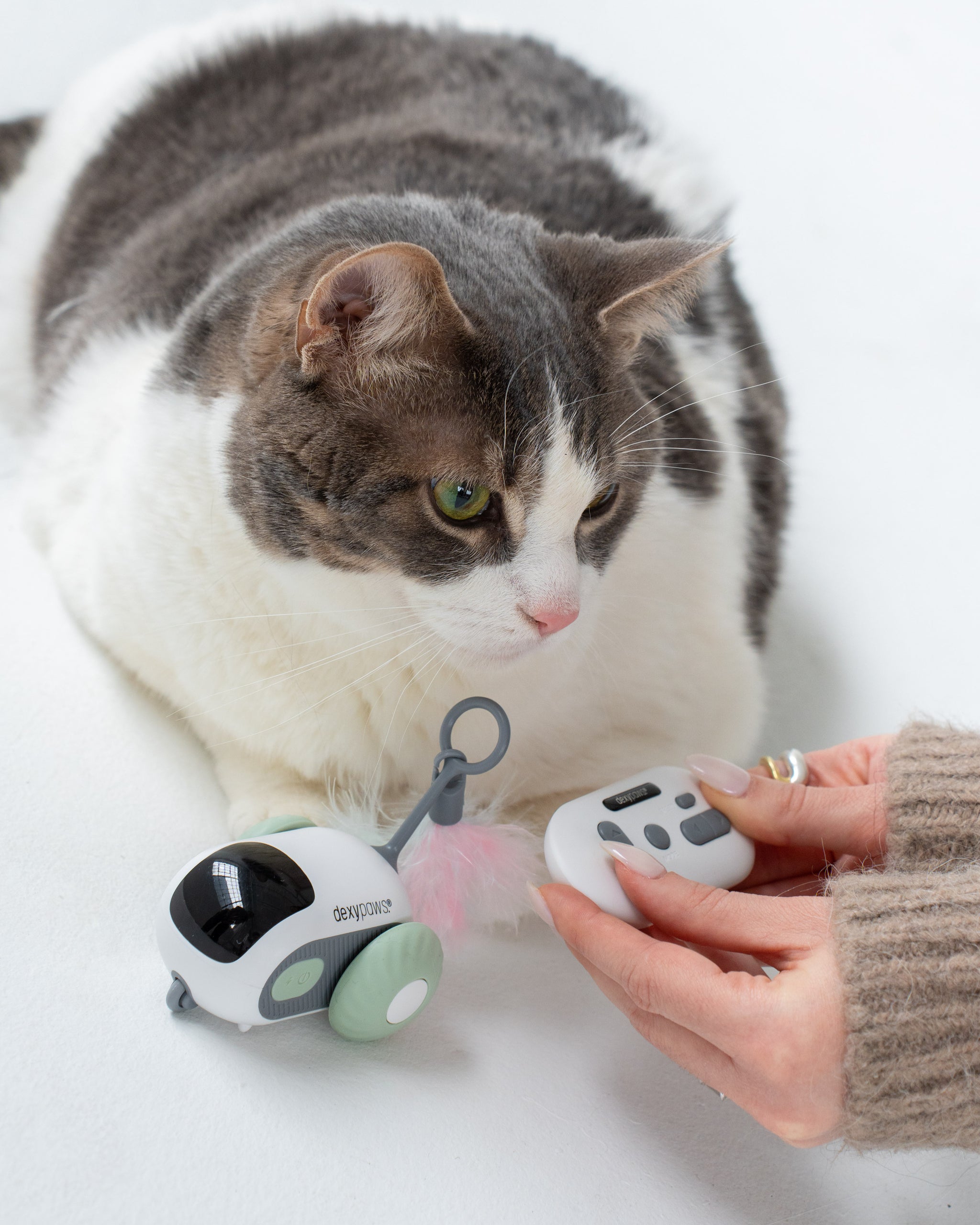 Interactive mouse toy - Sage Green – dexypaws