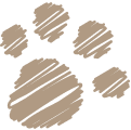 dexypaws logo